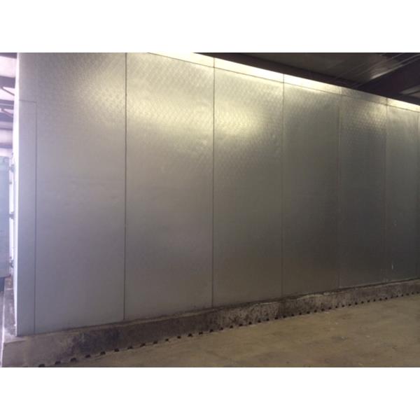 23' x 23' x 11'H Thermalrite Walkin Cooler or Freezer (529 Sq. Ft