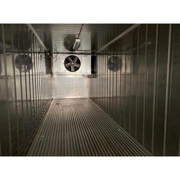40' Blast Freezer Container Commercial Blast Freezer System